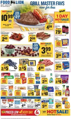 Food Lion (valid until 23-06)