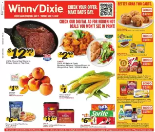 Winn Dixie weekly ad week 25 Page 1