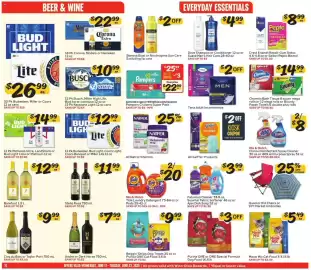 Winn Dixie weekly ad week 25 Page 10
