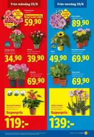 Lidl reklamblad vecka 26 Sida 19