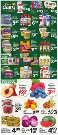 IGA weekly ad week 25 Page 3