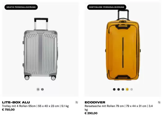 Samsonite (gültig bis 29-06)