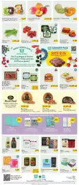 Fresh Thyme weekly ad Page 5