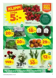 Stora Coop reklamblad vecka 25 Sida 5