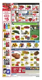 Albertsons weekly ad week 25 Page 3