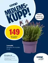 Matkroken uke 25 Side 10