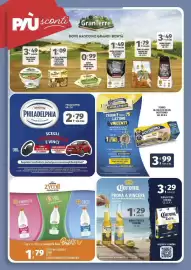 Volantino Vivo Supermercati Pagina 17
