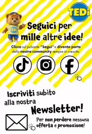 Volantino Tedi settimana 25 Pagina 17