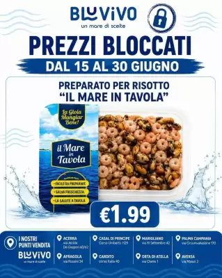 Volantino BluVivo (valido fino al 30-06)