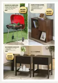 Catálogo Fuller Página 42