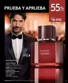 Catálogo Ésika Página 13