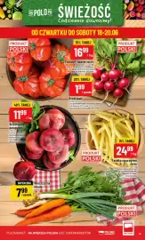 Polomarket gazetka tydzień 25 Strona 13