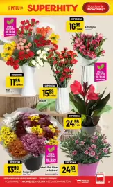 Polomarket gazetka tydzień 25 Strona 15