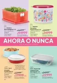 Folleto Tupperware Página 41