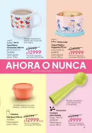 Folleto Tupperware Página 42