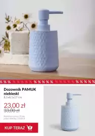 Homla gazetka tydzień 25 Strona 12