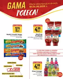Społem Częstochowa gazetka tydzień 25 Strona 3