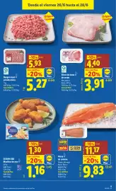 Catálogo Lidl semana 26 Página 19