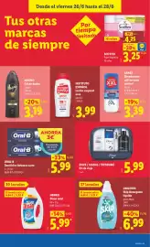 Catálogo Lidl semana 26 Página 31