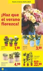 Catálogo Lidl semana 26 Página 40