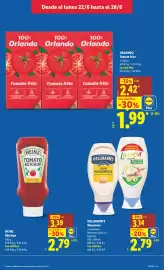 Catálogo Lidl semana 26 Página 9