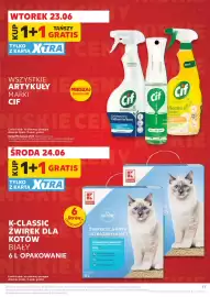 Kaufland gazetka tydzień 25 Strona 17