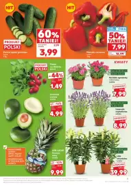 Kaufland gazetka tydzień 25 Strona 5