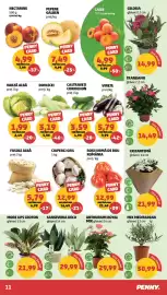 Catalog Penny săptămâna 25 Pagină 11