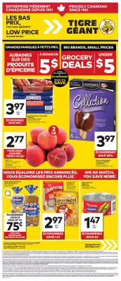 Giant Tiger flyer (valid until 24-06)