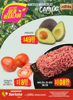Folleto Soriana Híper