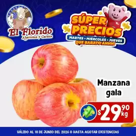 Folleto El Florido Página 5