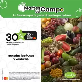 Catálogo Carulla semana 25 Página 2