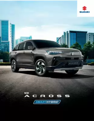 Suzuki (válido hasta 30-06)