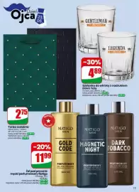 Dino gazetka tydzień 25 Strona 13