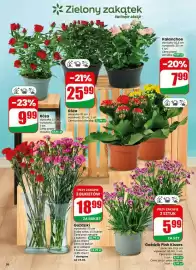 Dino gazetka tydzień 25 Strona 56