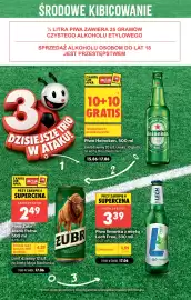 Biedronka gazetka tydzień 25 Strona 3
