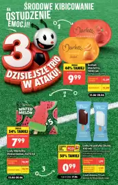 Biedronka gazetka tydzień 25 Strona 4