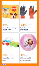 Action gazetka tydzień 25 Strona 24