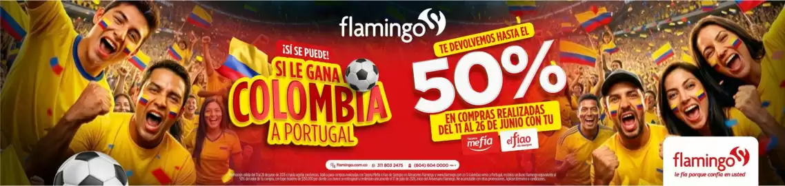 Catálogo Flamingo Página 1