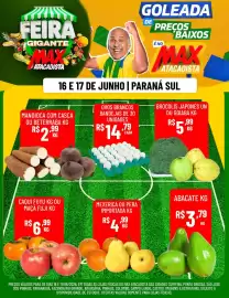 Encarte Max Atacadista Página 3