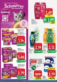 Spar Flugblatt Seite 18