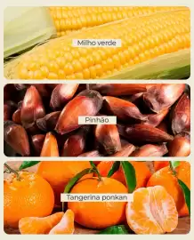 Folheto Pão de Açúcar Página 4
