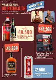 Catálogo Supermercados Mayor semana 25 Página 1