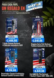 Catálogo Supermercados Mayor semana 25 Página 10