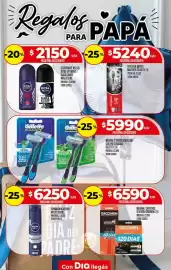 Folleto Supermercados DIA semana 25 Página 10