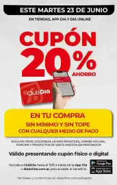 Folleto Supermercados DIA semana 25 Página 11