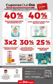 Folleto Supermercados DIA semana 25 Página 12