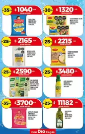 Folleto Supermercados DIA semana 25 Página 17