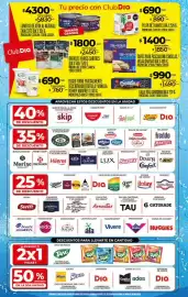 Folleto Supermercados DIA semana 25 Página 2