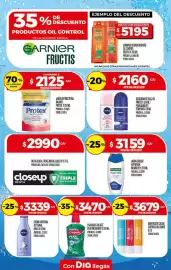 Folleto Supermercados DIA semana 25 Página 23
